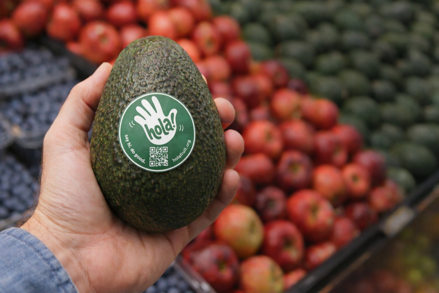 An avocado with a hola! sticker at retail